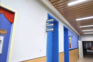 學校食堂食品安全引關注，官方回應 涉事蔬菜霉變，校長被免職